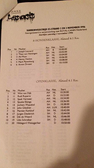 E3 strand 1996 SSC-NL sledehonden wedstrijd