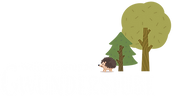 Logo GwunderStube