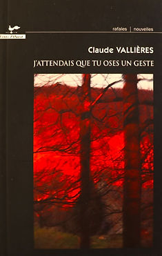 J'attendais que tu oses un geste, Claude Vallières