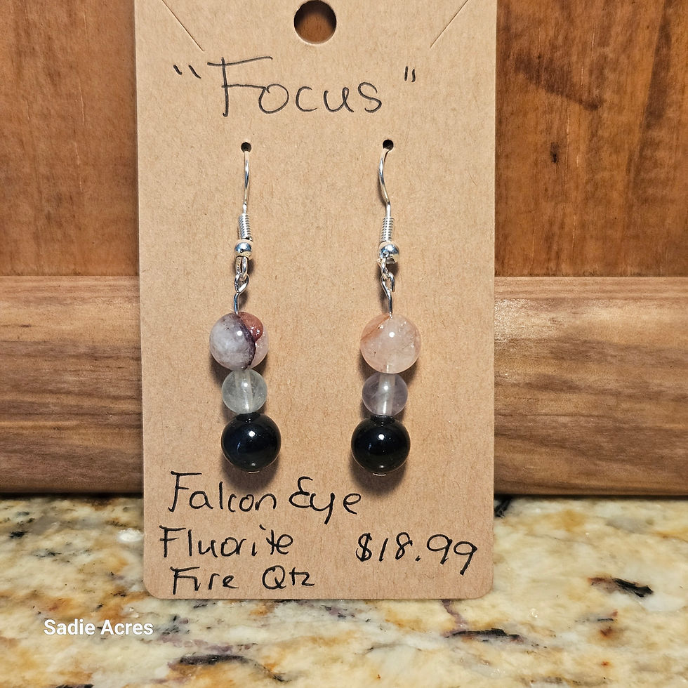Focus earrings with Falcon Eye, Fluorite, Fire Qtz for $18.99