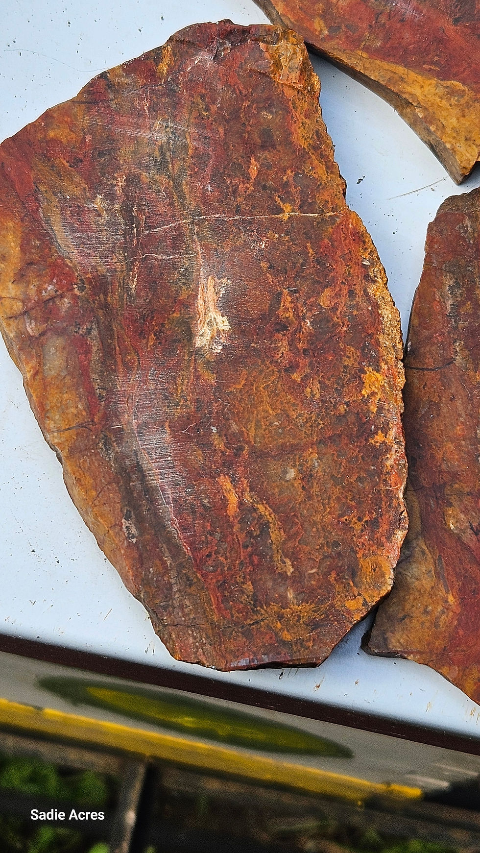 Thumbnail: Jasper Raw Slabs