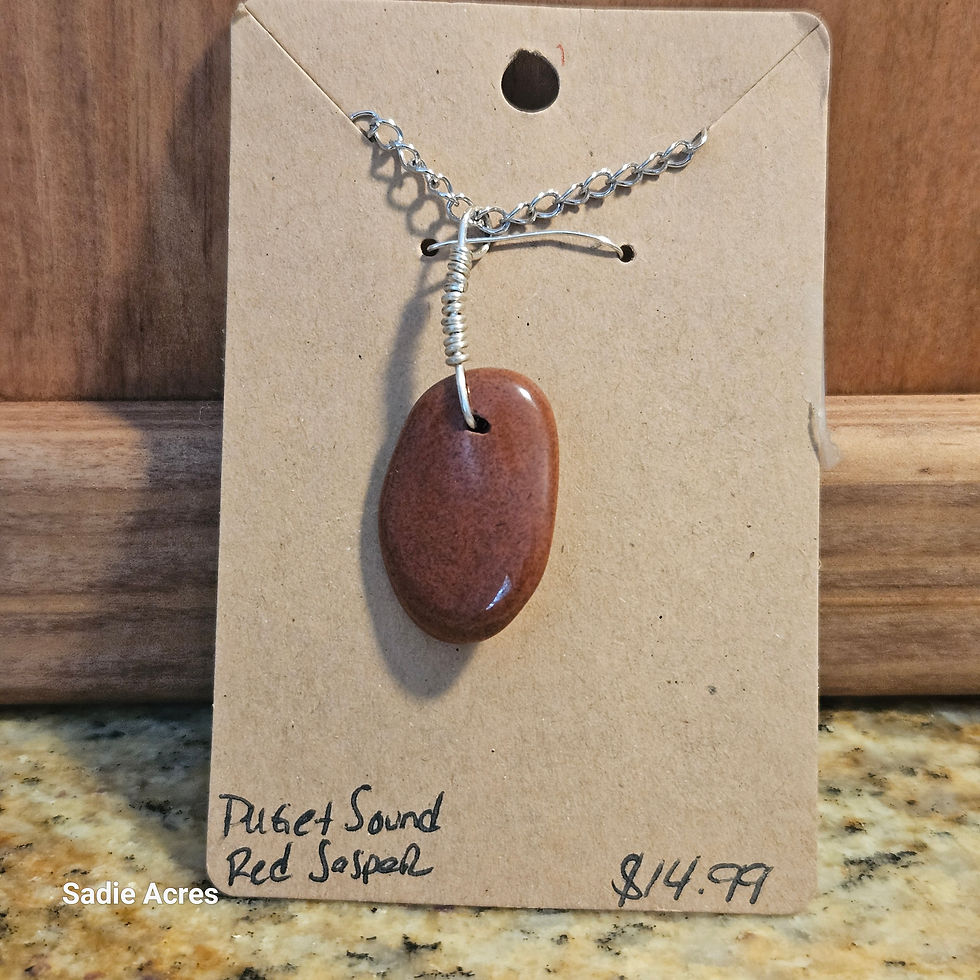 Poppy Seed Red Jasper necklace, $14.99