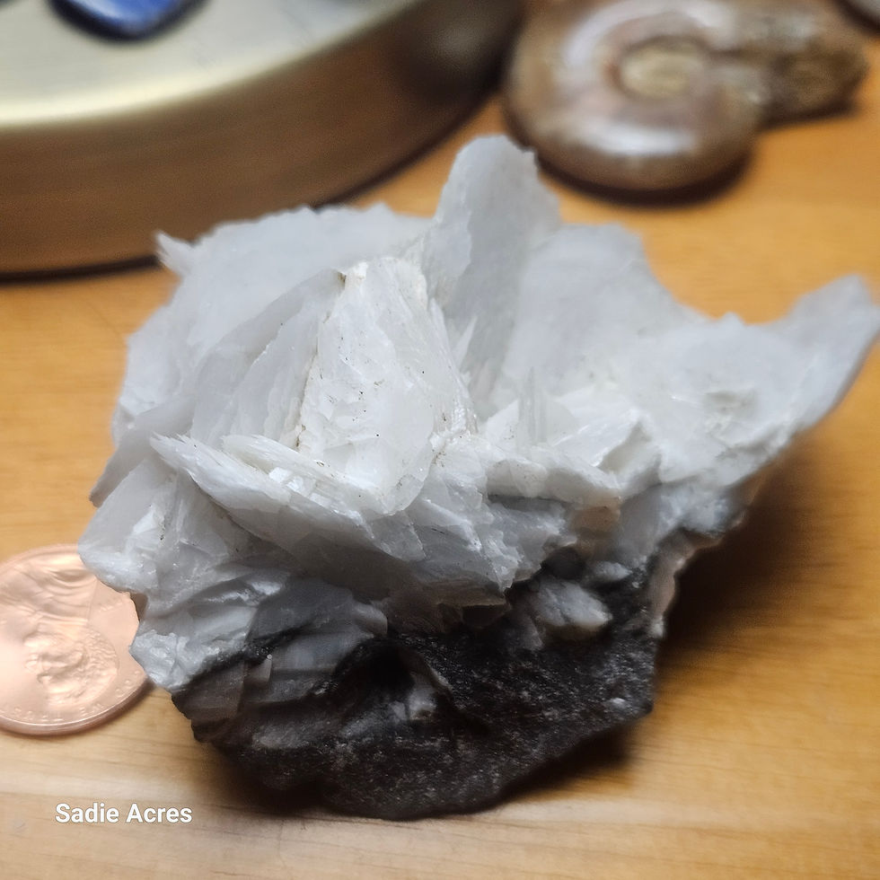 Thumbnail: White crystal on dark rock, penny for scale
