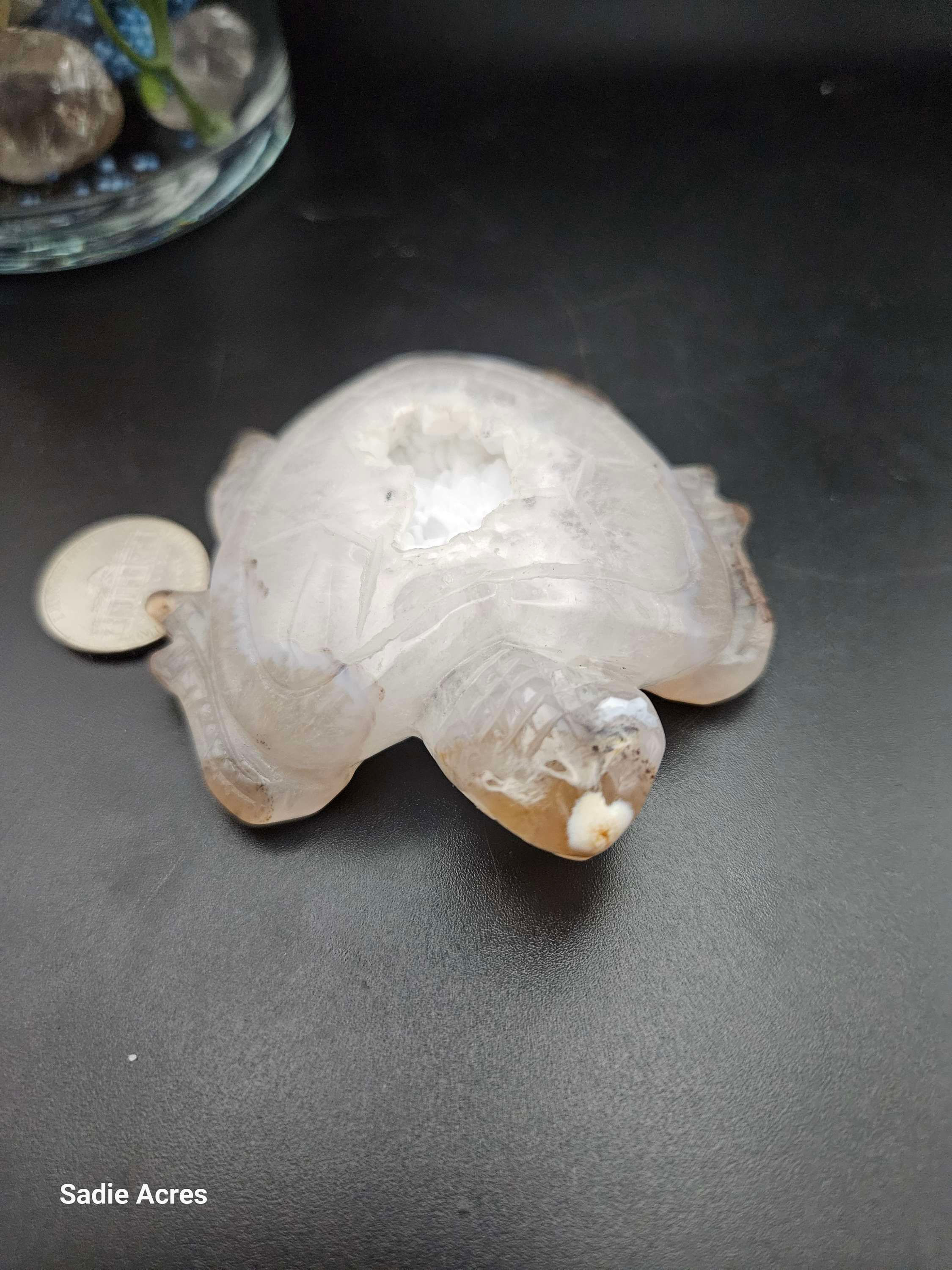  Druzy Agate Turtle