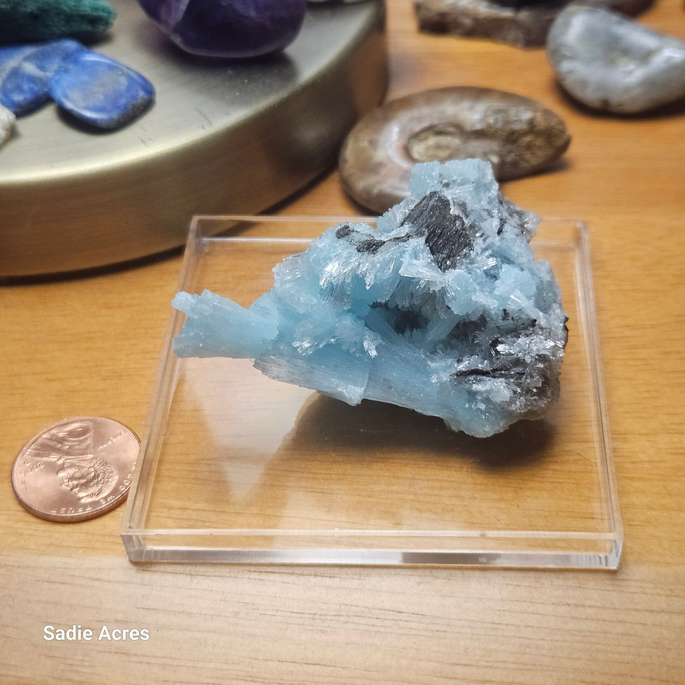 Thumbnail: Light blue mineral specimen on clear stand, penny for scale