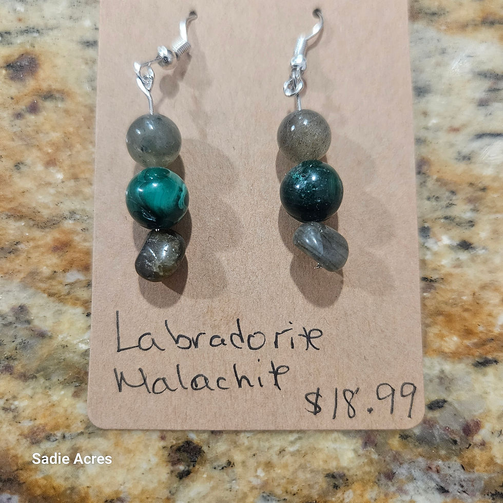 Thumbnail: Labradorite and Malachite beaded earrings $18.99
