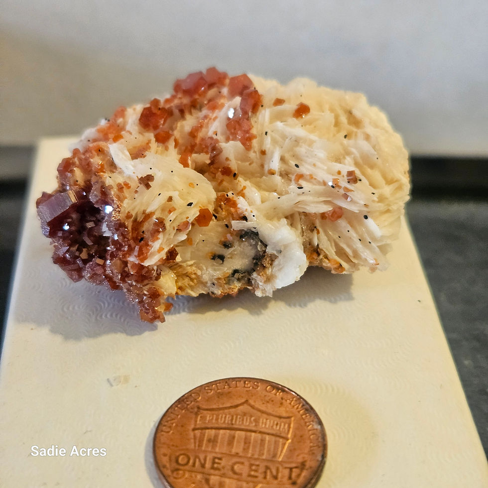 Thumbnail: Vanadinite specimen for crystal collection, next to a penny