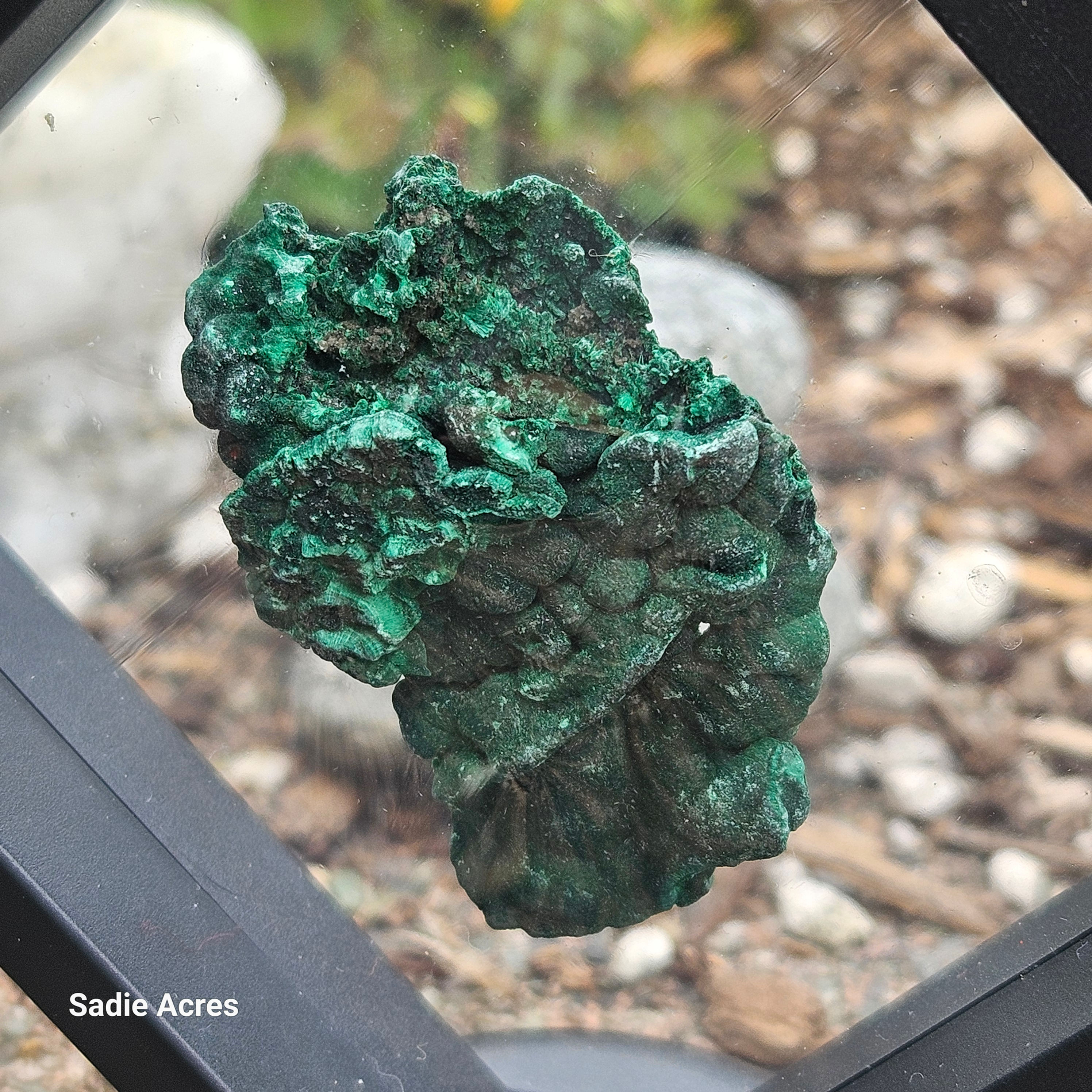 Green malachite