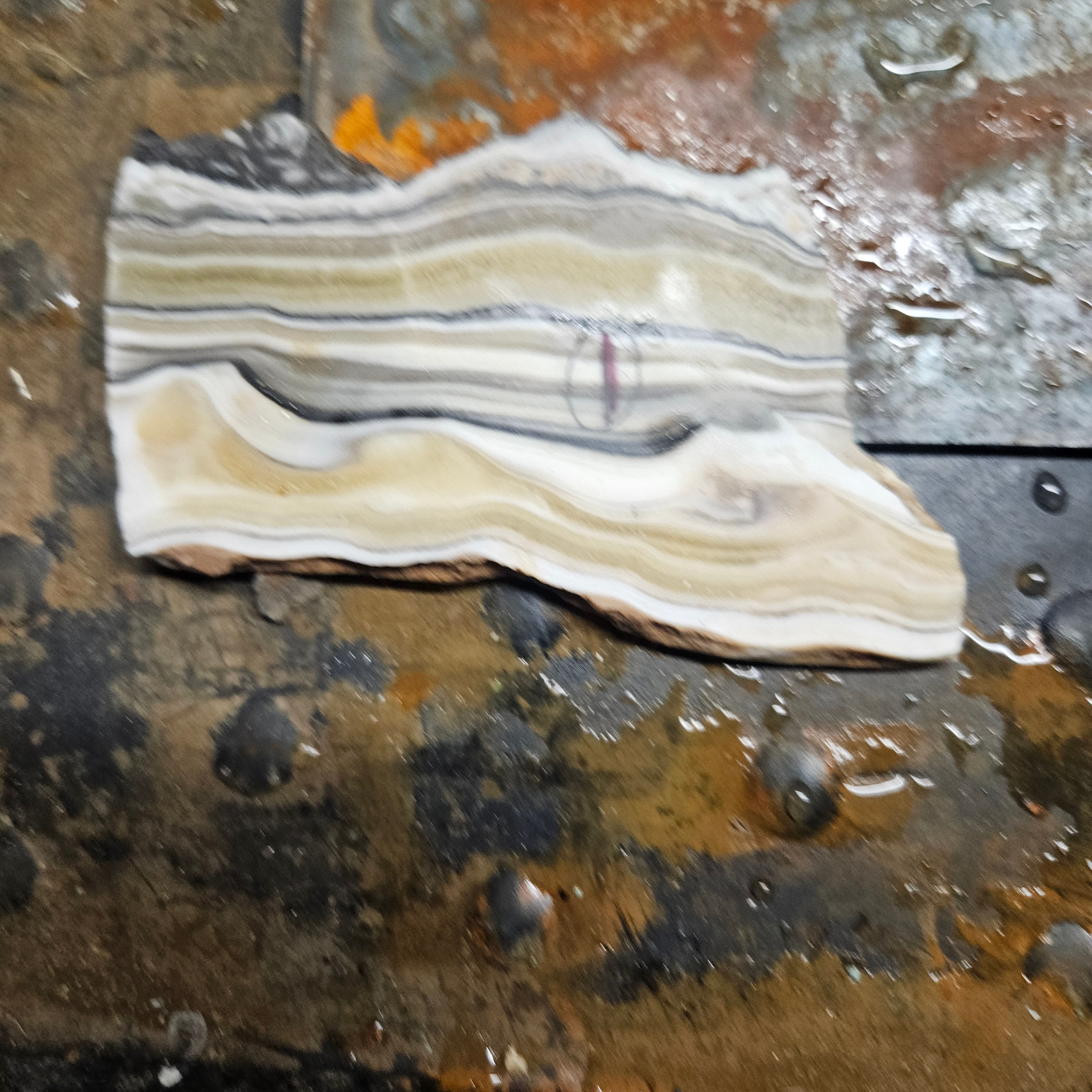 Zebra onyx raw slab #1