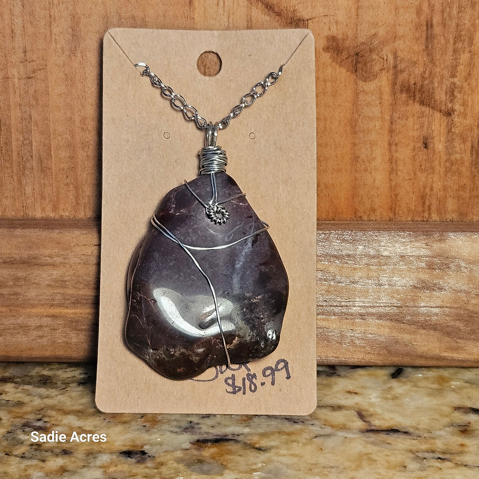 Wire-wrapped stone pendant necklace on tag, $18.99