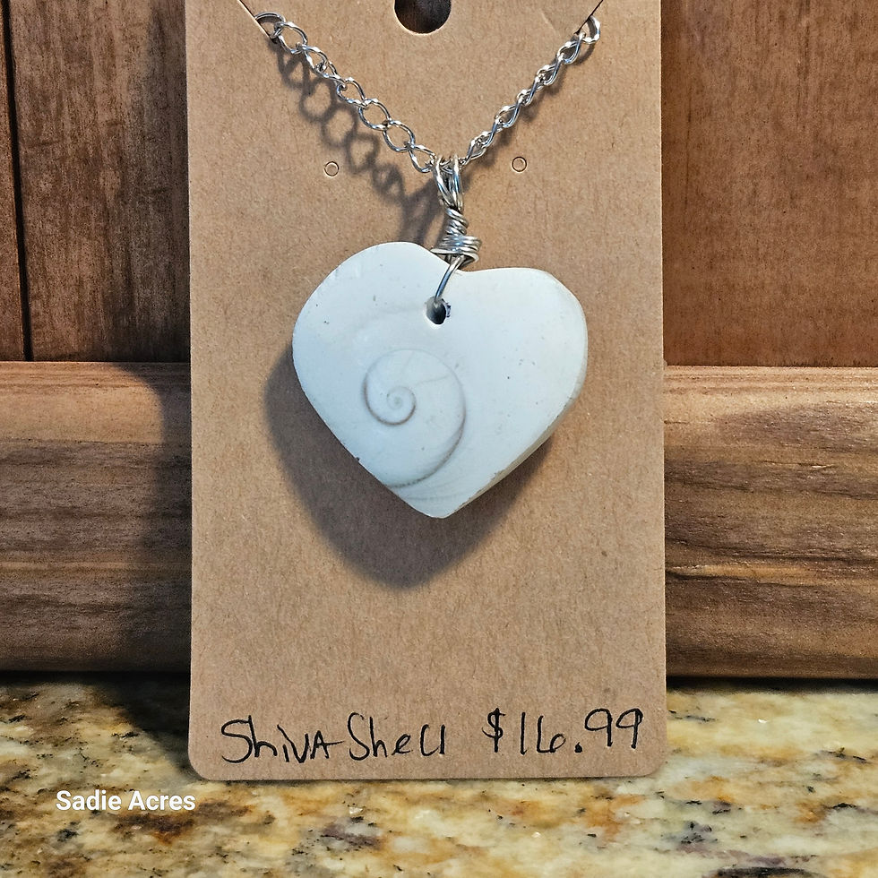 Heart Shiva Shell necklace, $16.99