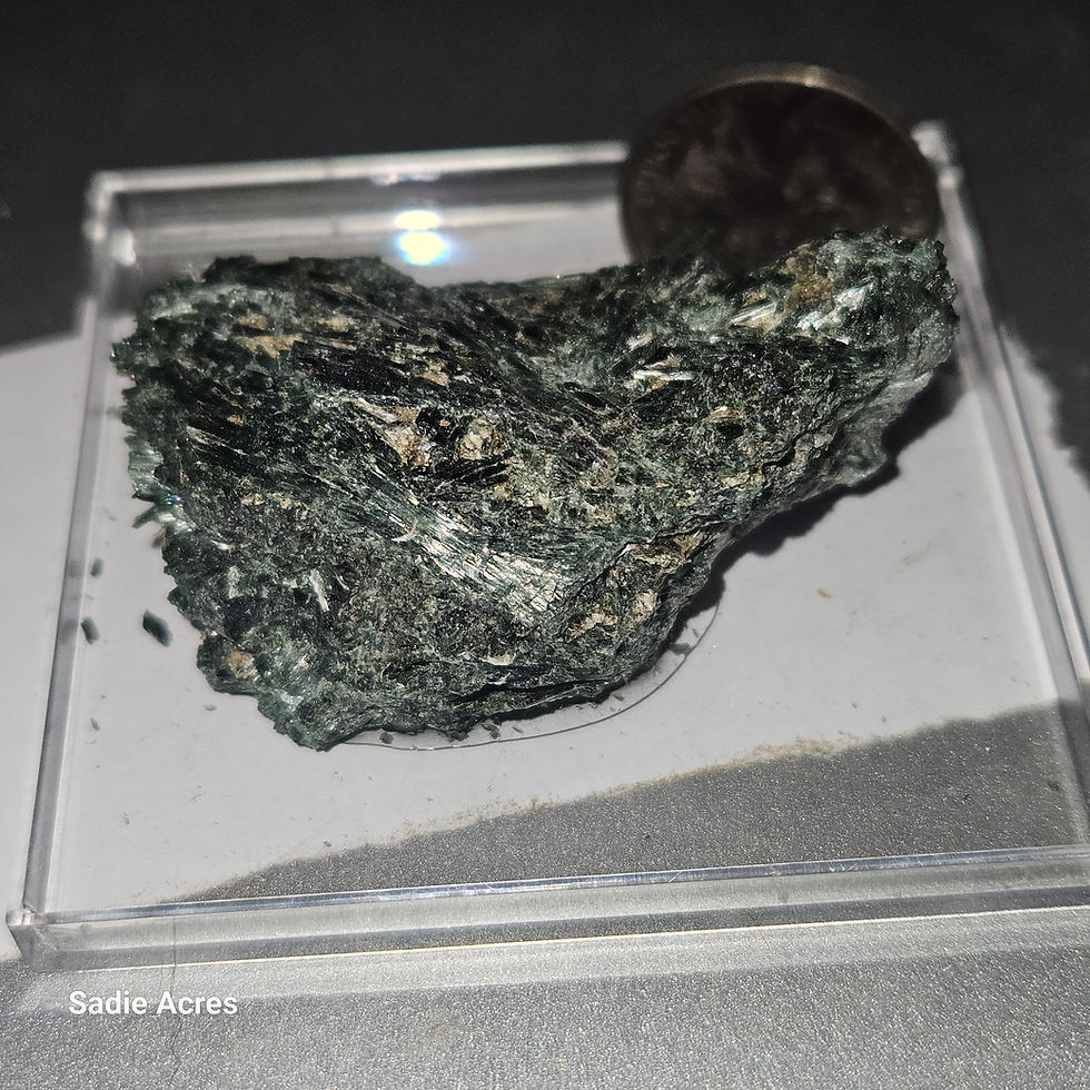 Thumbnail: Dark green mineral sample in a clear case with a coin for scale.