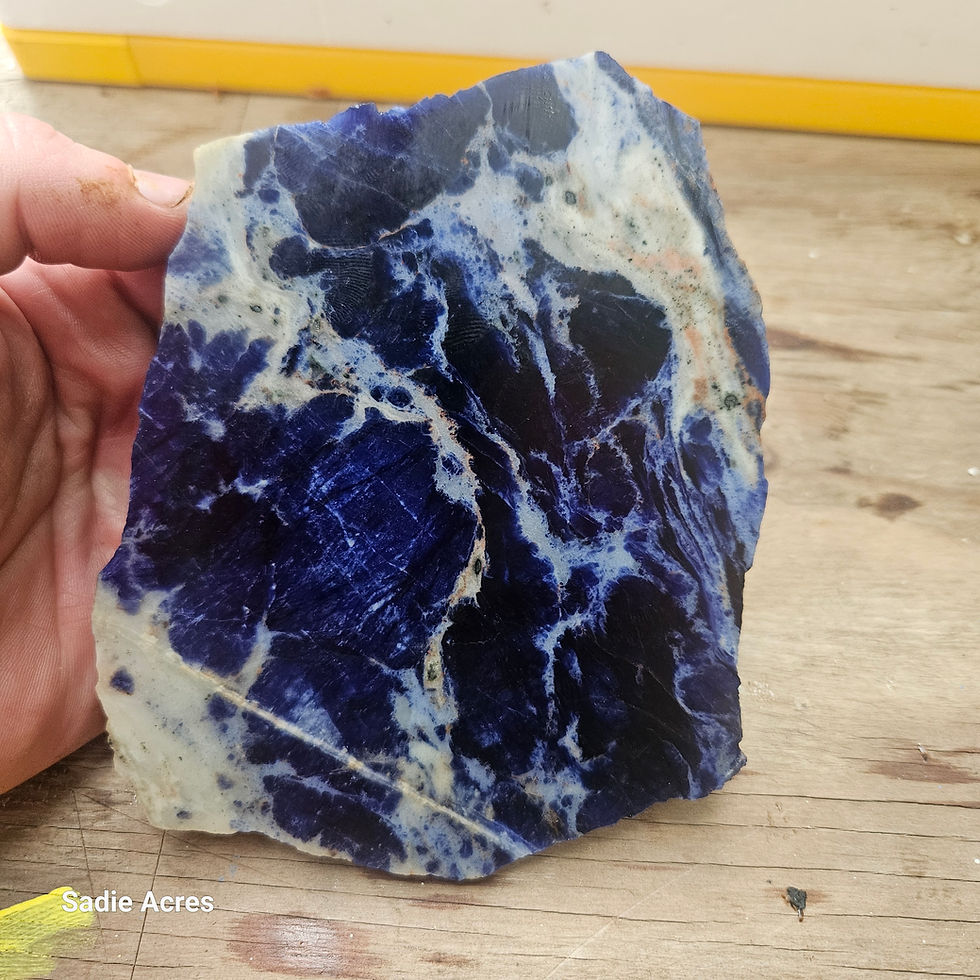 Thumbnail: Hand holding rough blue and white patterned stone