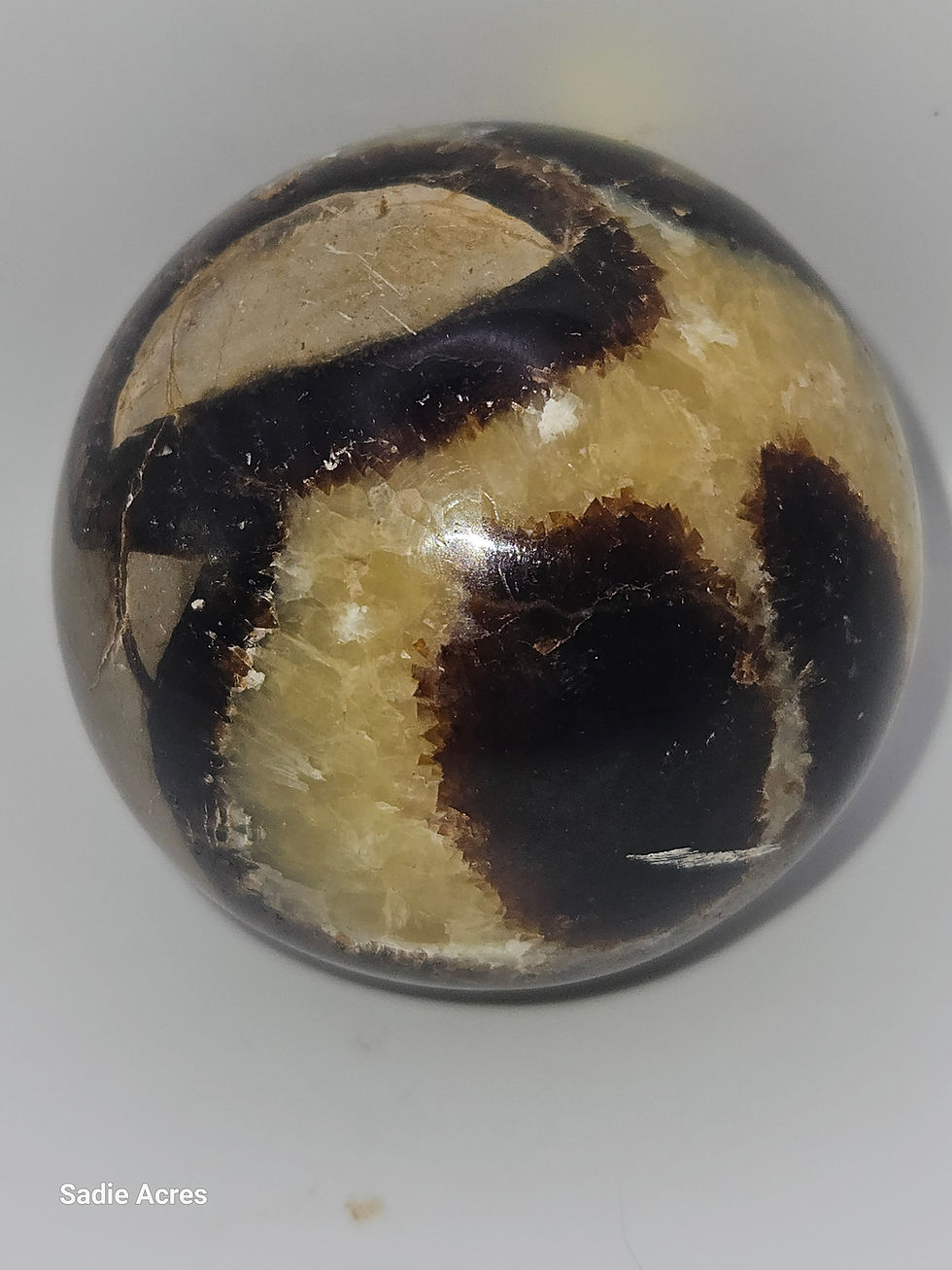 Thumbnail: Calcite with Pyrite crystal specimen