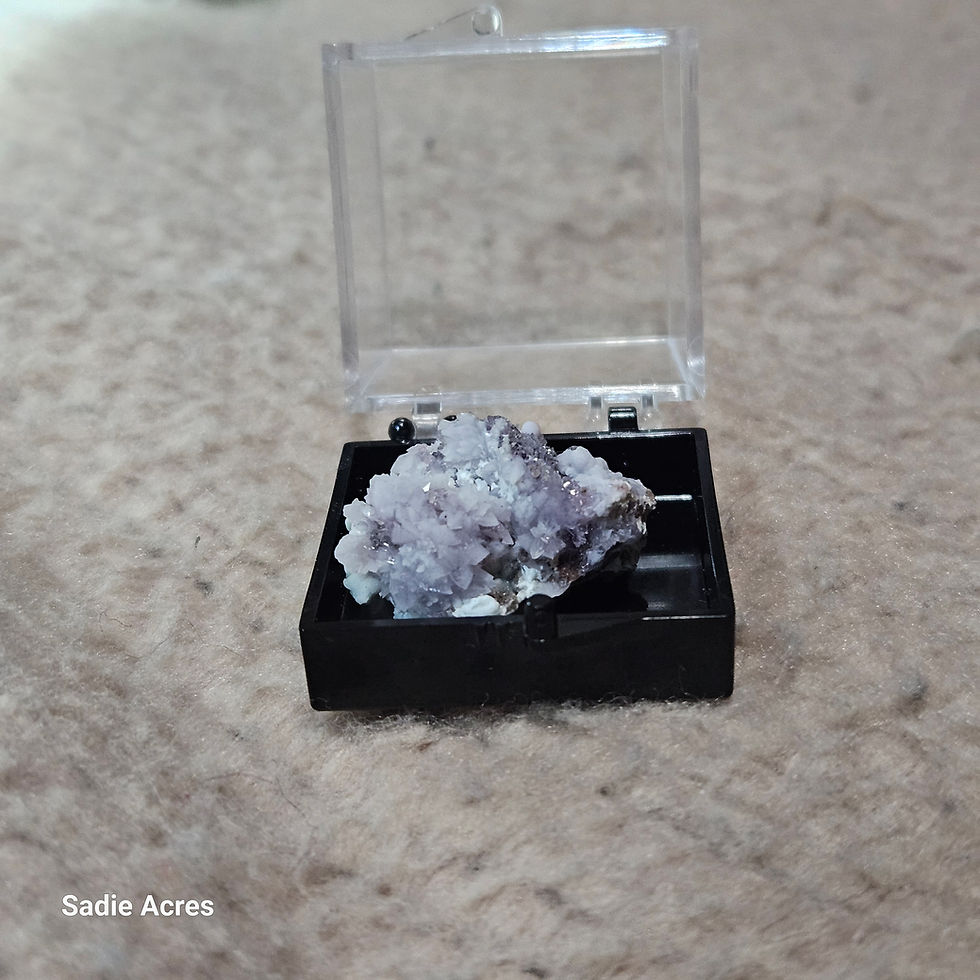 Thumbnail: Light purple crystal in a display case, Sadie Acres