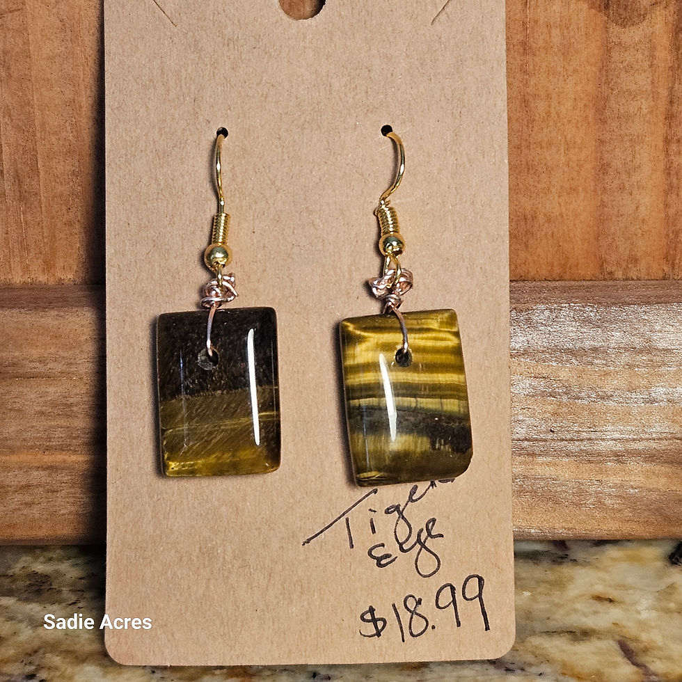 Thumbnail: Tiger Eye earrings, rectangular, $18.99