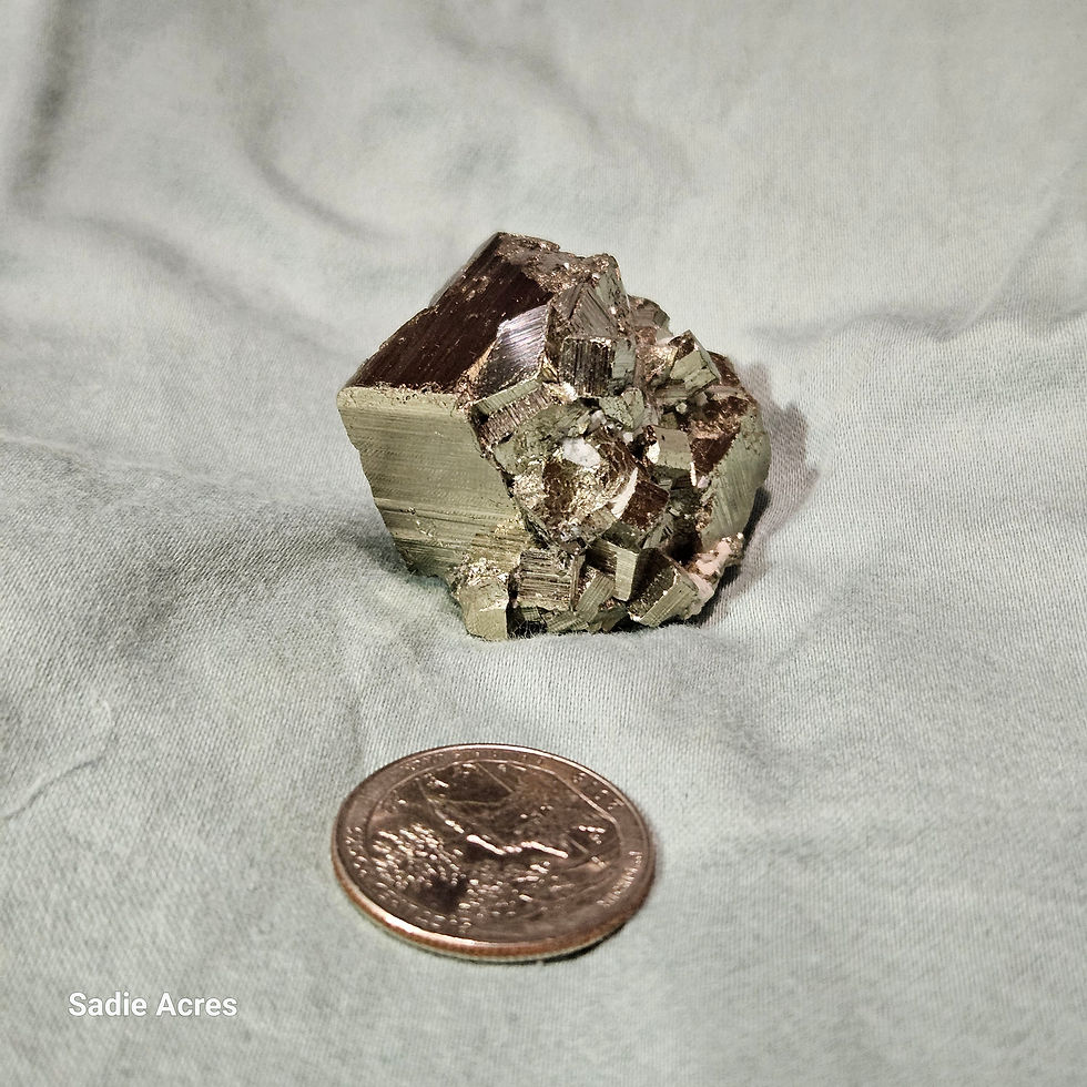 Thumbnail: Pyrite mineral specimen with coin for scale