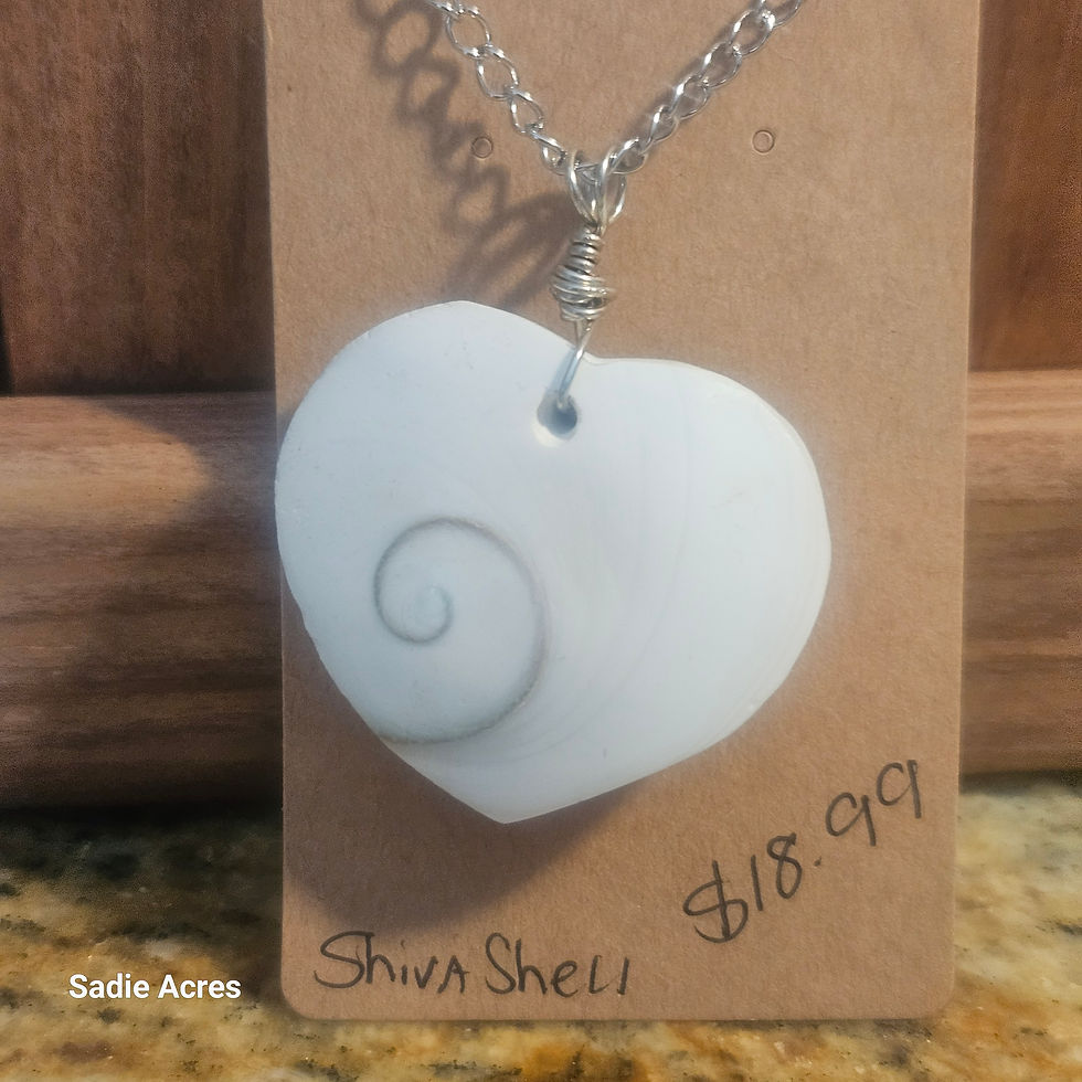 White Shiva Shell heart pendant with spiral, $18.99, Lula Acres