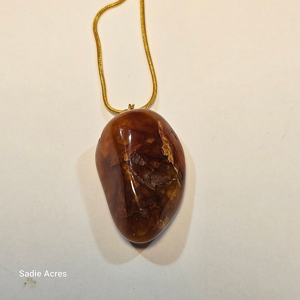 Smooth brown pendant with a golden cord