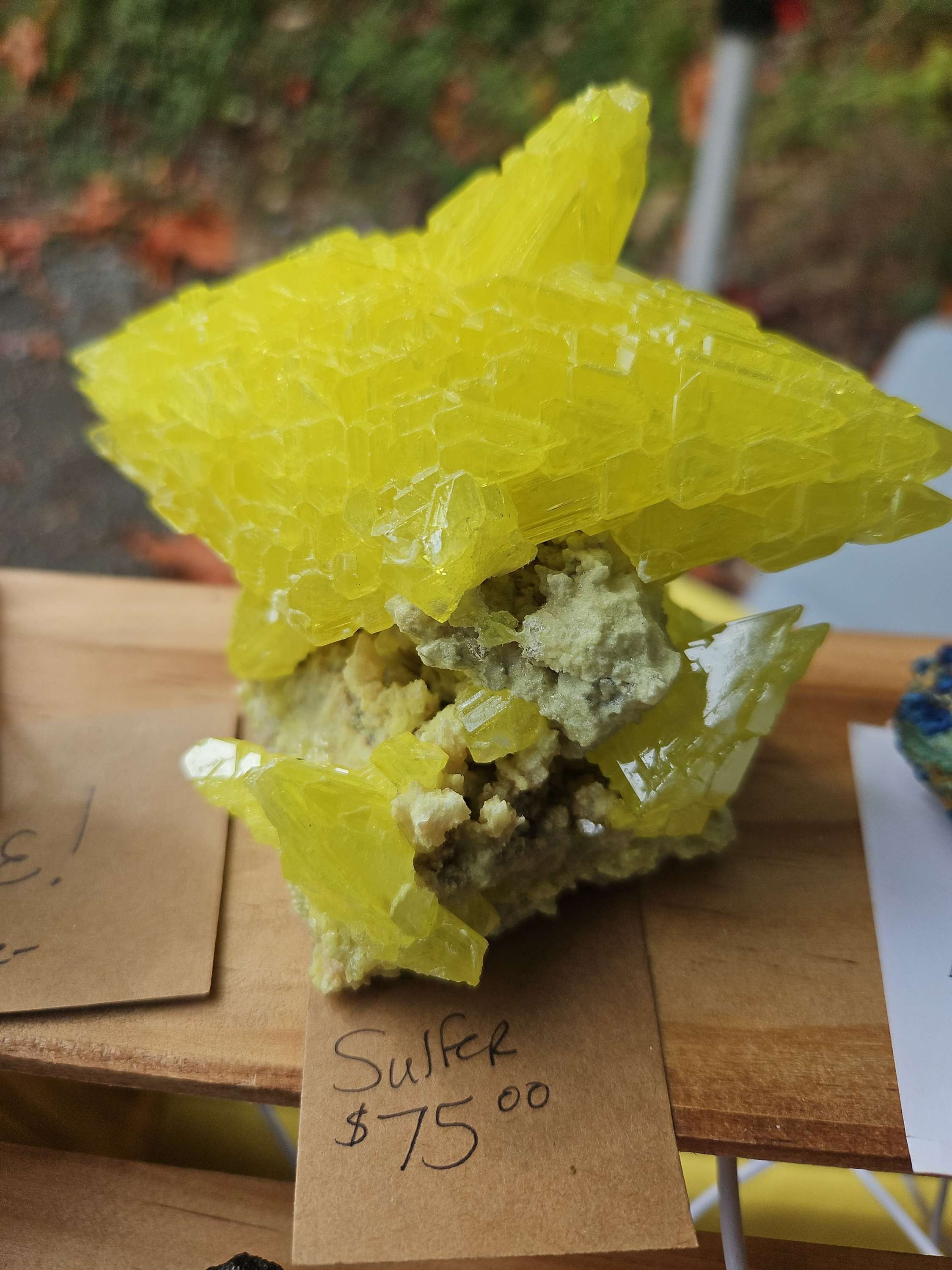 Sulfur Specimen 
