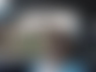 Get Out Of The Road Elephant