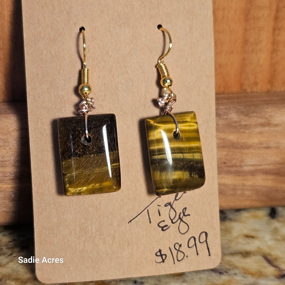 Sadie Acres Tiger Eye earrings, $18.99