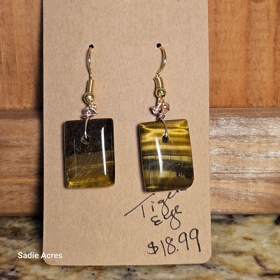 Tiger Eye earrings, $18.99