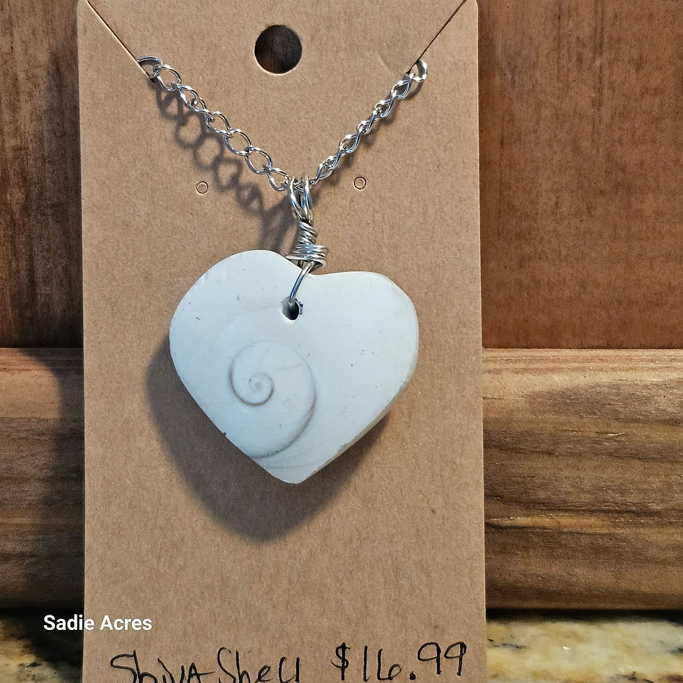 Heart Shiva Shell necklace, spiral design, $116.99