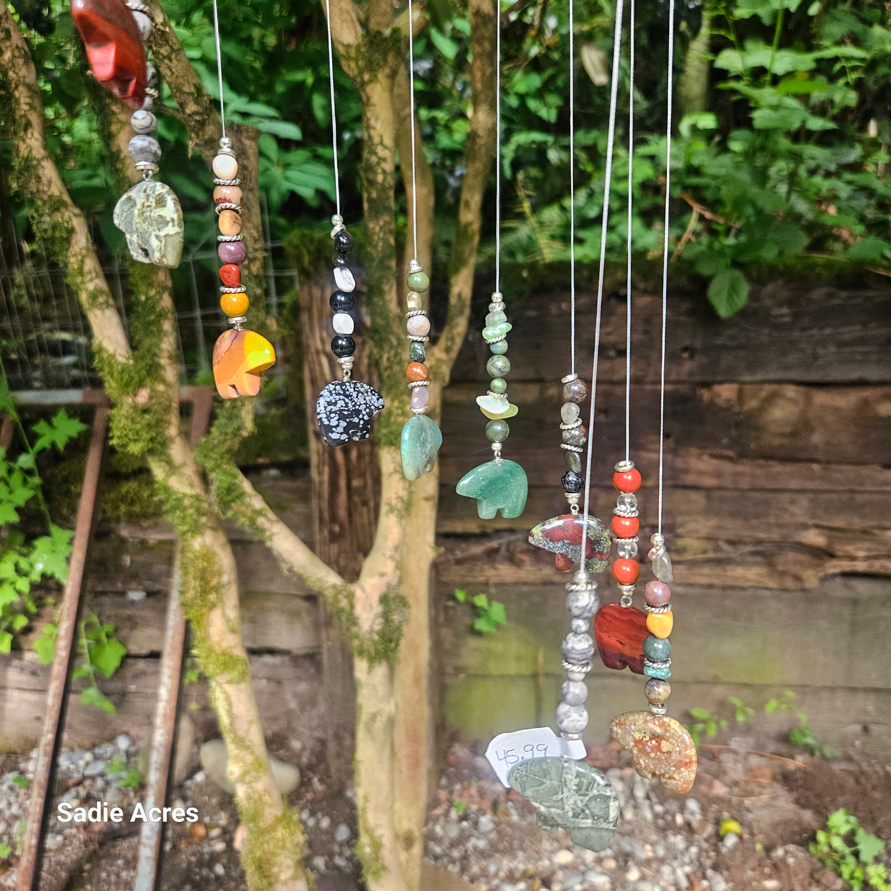 Multiple seashell wind catchers hanging from a tree