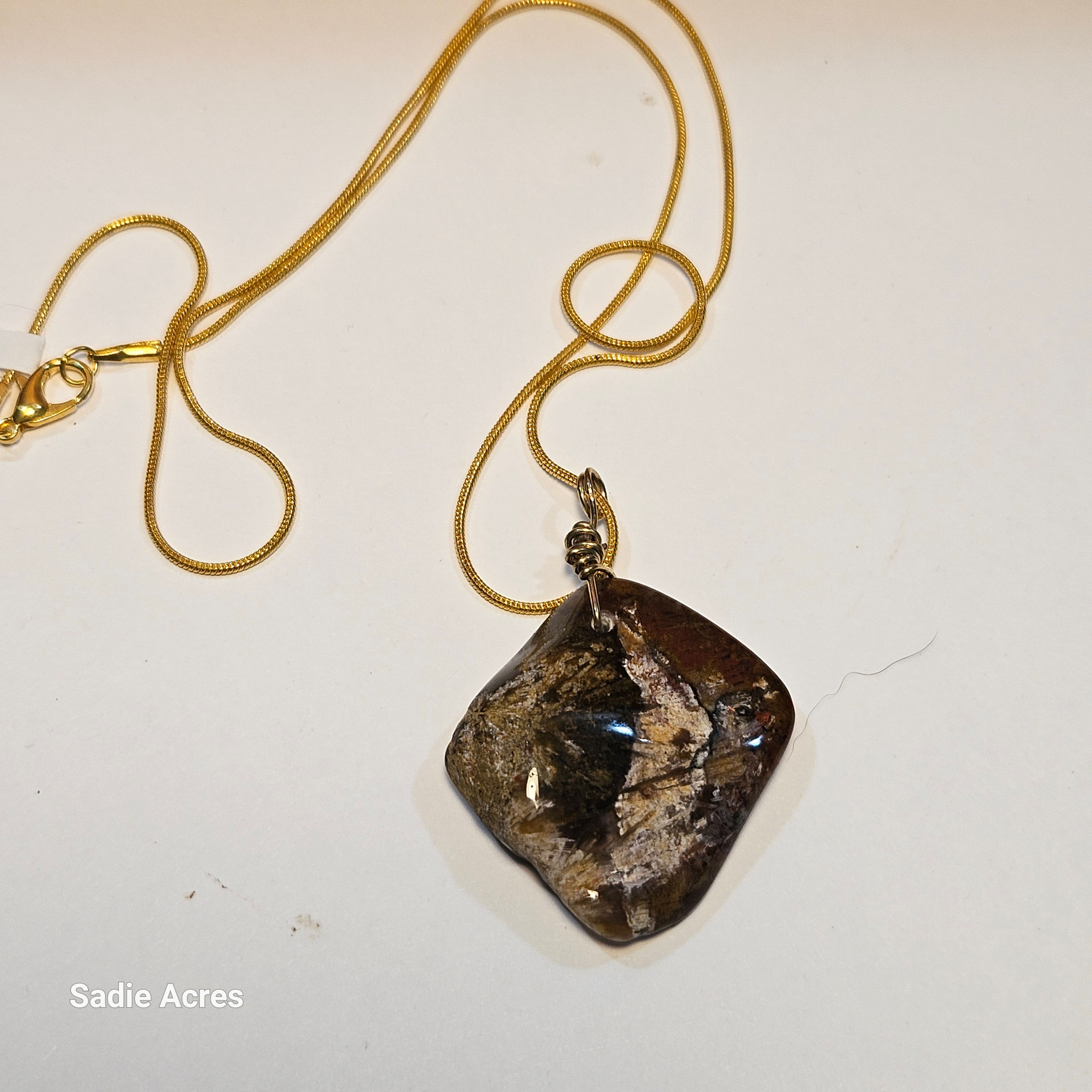Seashell pendant on gold chain