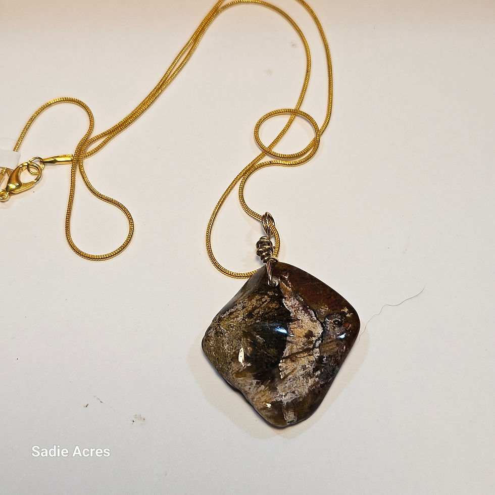Seashell pendant on gold chain