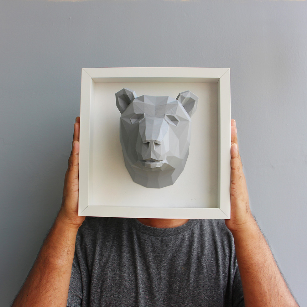 Bear A
