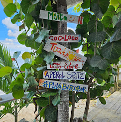 playa barcobar in bayahibe 