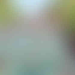 Los Patos busy holiday