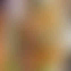 fried fish and tostones at Los Patos