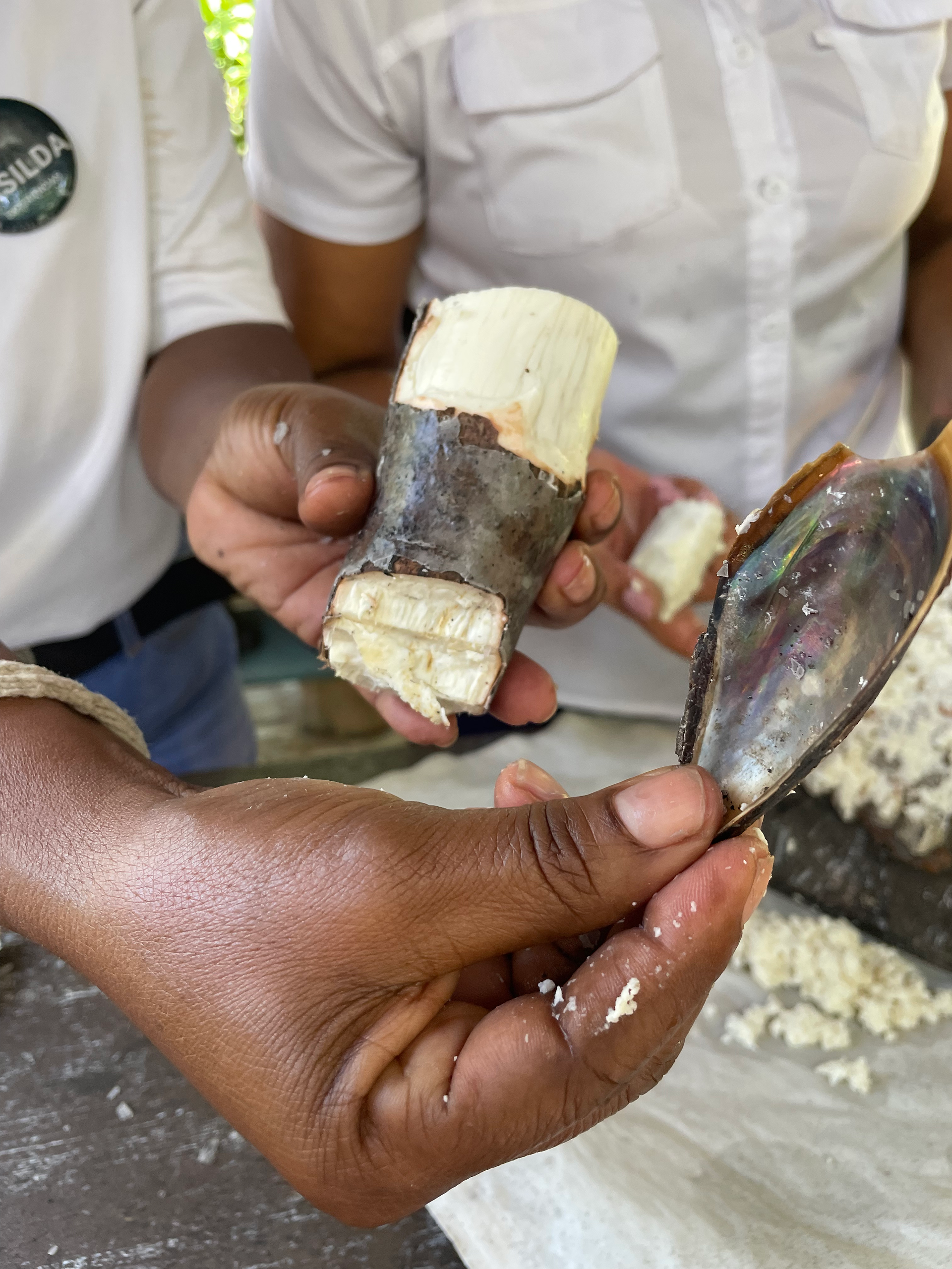 casabe experience yuca