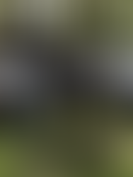 New HQ: Soon to rise