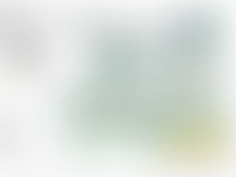 Aucun, aménagement d'un lotissement communal "éco-quartier"