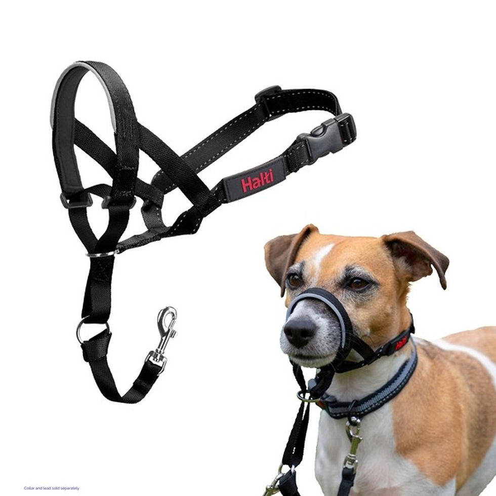 Thumbnail: Halti Headcollar