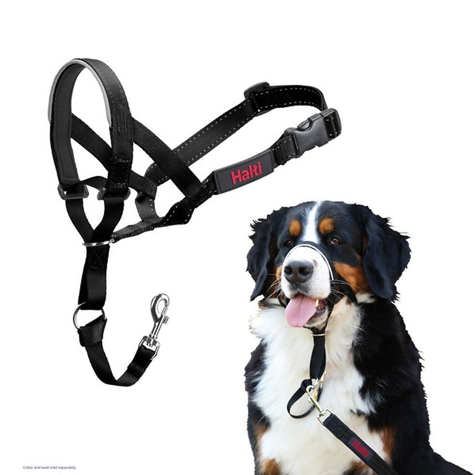 Thumbnail: Halti Headcollar