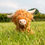Thumbnail: Ancol Heritage Fergus Highland Cow