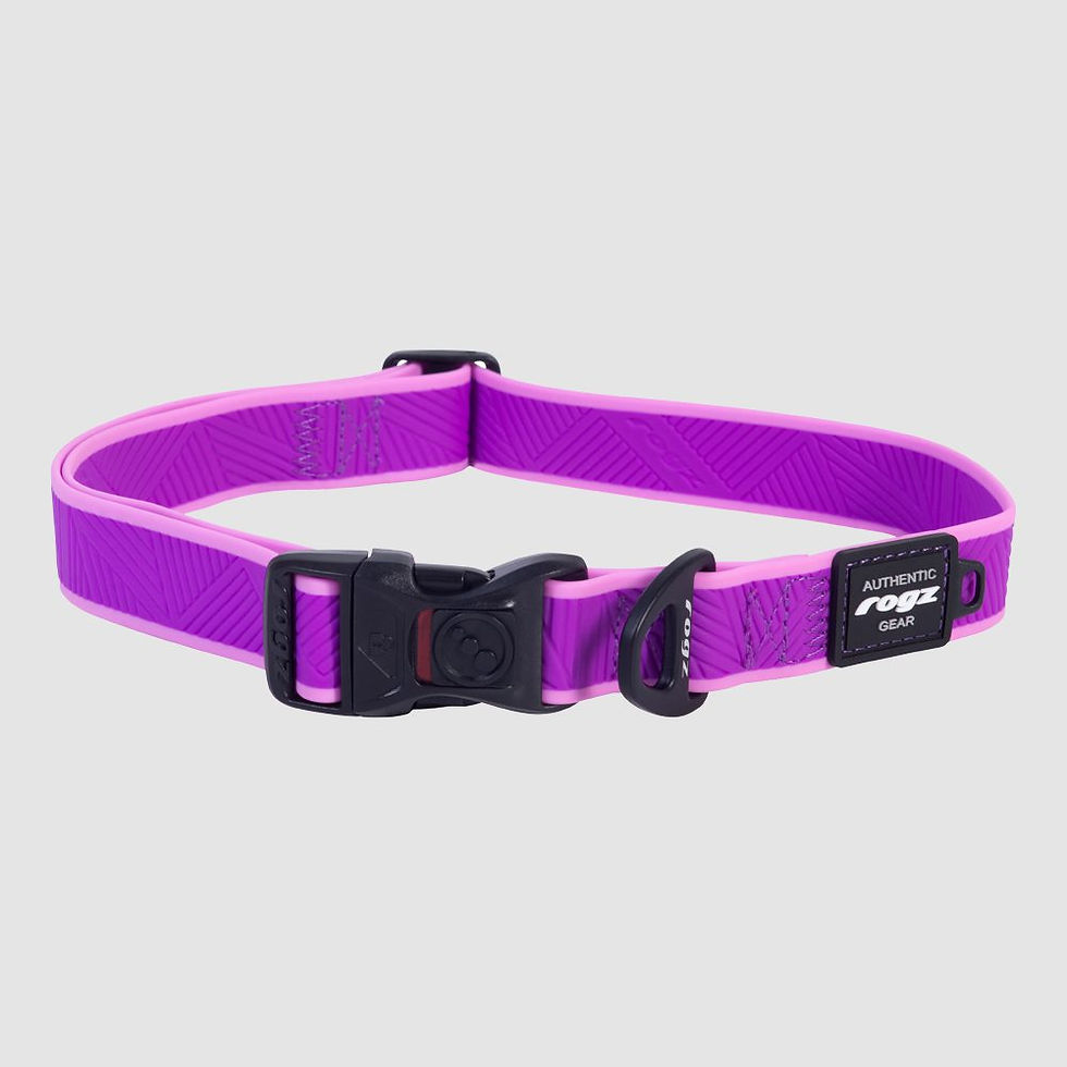 Thumbnail: ROGZ Amphibian Classic Collar