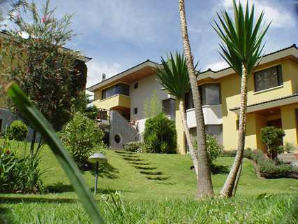 6136 w.jpg