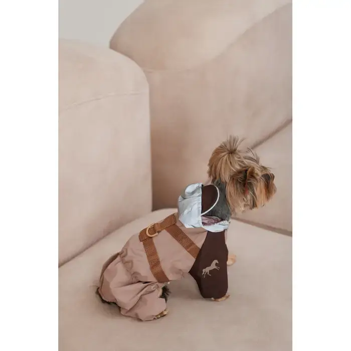 Прев'ю: Дощовик для собак Pet Fashion Mustang ХS-2