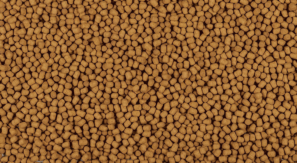 Прев'ю: Tetra ReptoMin Energy 100 мл корм для черепах