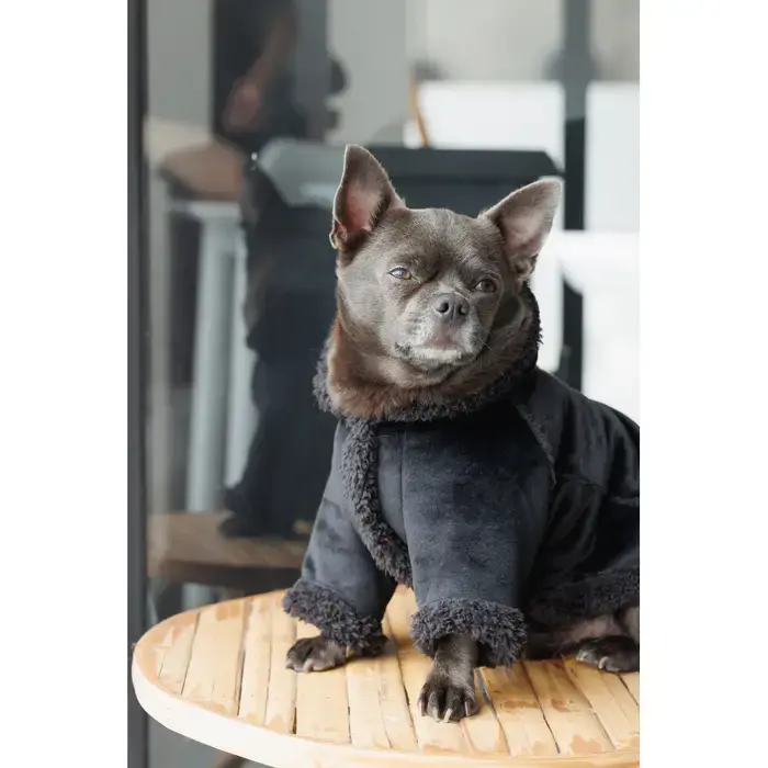 Прев'ю: Дублянка для собак Pet Fashion Black S