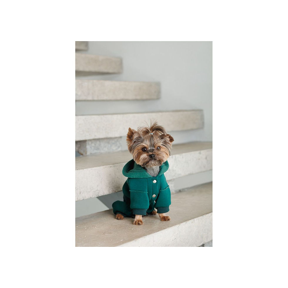 Прев'ю: Костюм для собак Pet Fashion Berry M