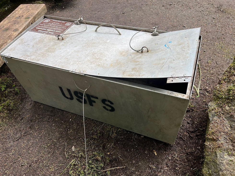 Auk Village Campground closed after bear ransacks food box, tent