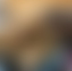 Scientists identify mysterious ‘golden orb’ found in Gulf of Alaska in 2023