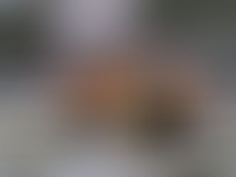 On The Trails: Vertebrates eating bark